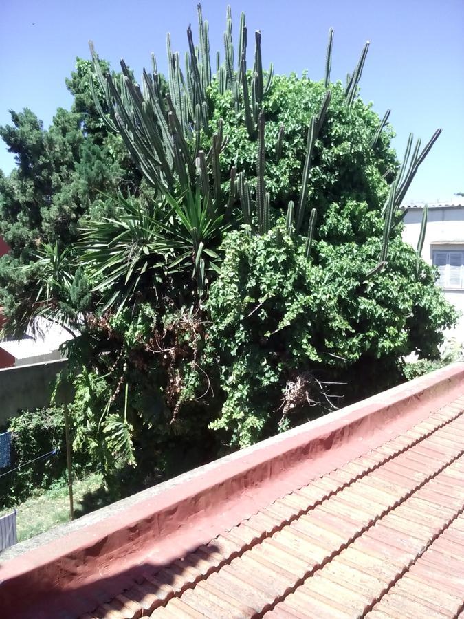 Hosteria Almirante Brown 马德普拉塔 外观 照片